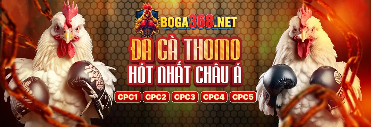 S8bet Thể Thao - Cảnh cá cược sôi động