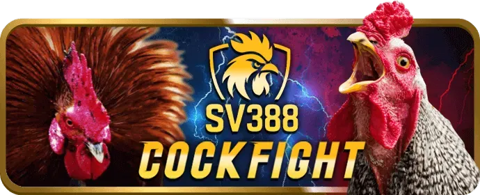 Hoàn trả hàng ngày bắn cá S8BET
